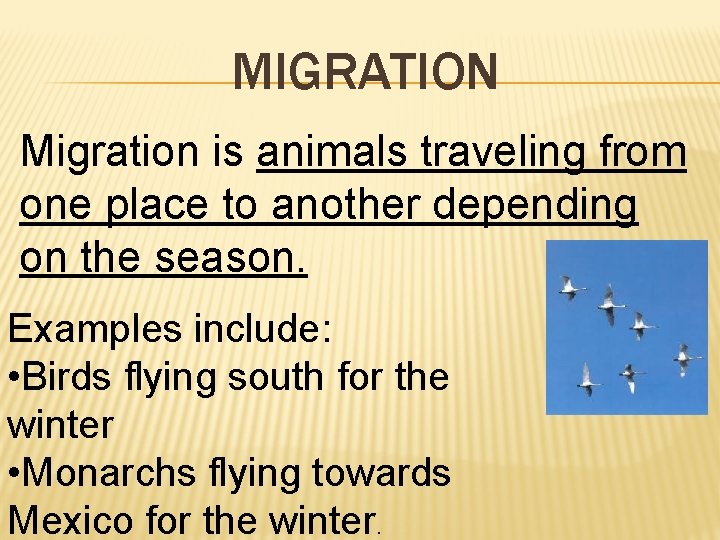 MIGRATION Migration is animals traveling from one place to another depending on the season.