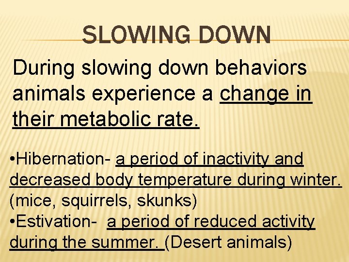 SLOWING DOWN During slowing down behaviors animals experience a change in their metabolic rate.