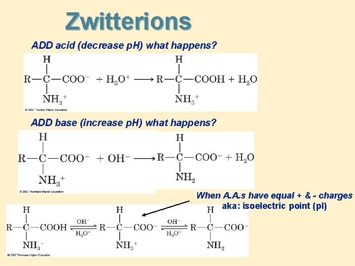 Zwitterions ADD acid (decrease p. H) what happens? ADD base (increase p. H) what