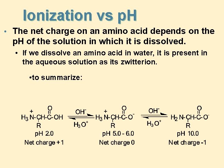 Ionization vs p. H • The net charge on an amino acid depends on