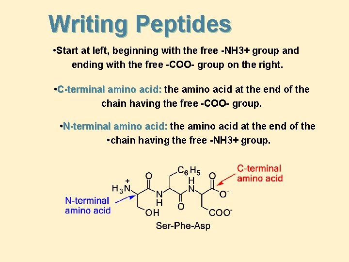 Writing Peptides • Start at left, beginning with the free -NH 3+ group and