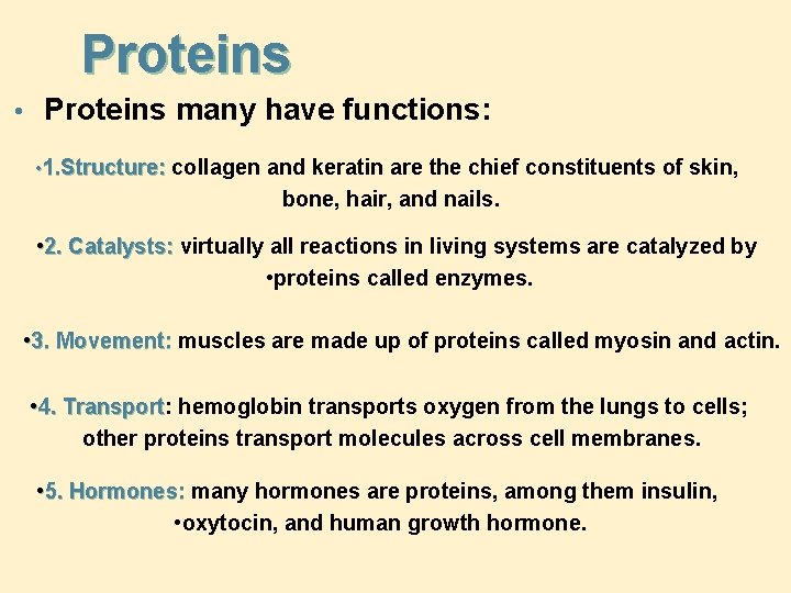 Proteins • Proteins many have functions: • 1. Structure: collagen and keratin are the