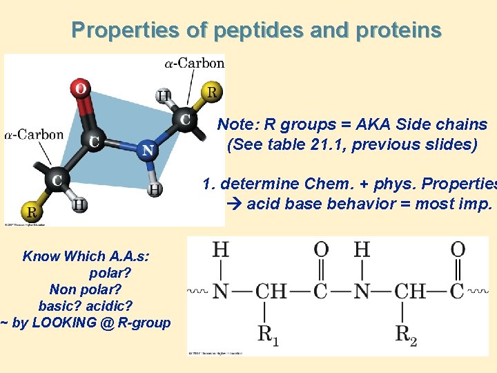 Properties of peptides and proteins Note: R groups = AKA Side chains (See table