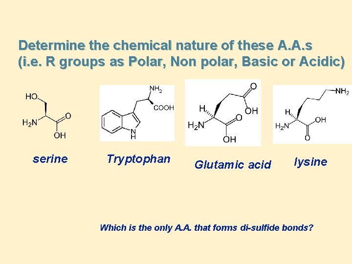 Determine the chemical nature of these A. A. s (i. e. R groups as