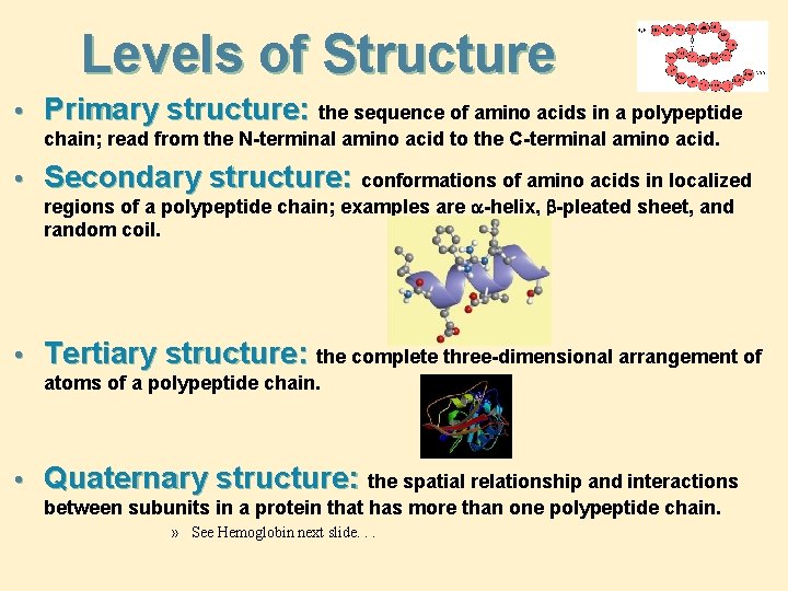 Levels of Structure • Primary structure: the sequence of amino acids in a polypeptide