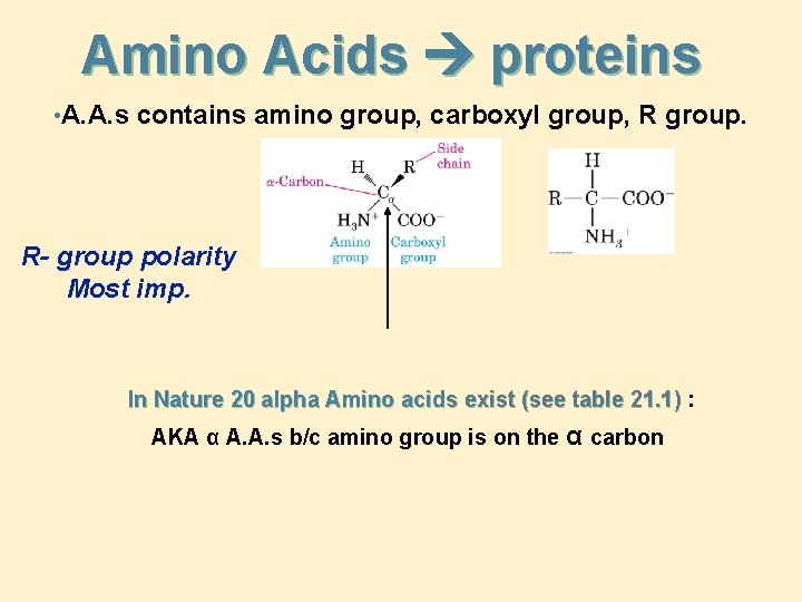 Amino Acids proteins • A. A. s contains amino group, carboxyl group, R group.