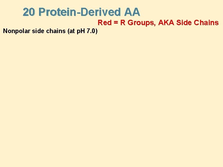 20 Protein-Derived AA Red = R Groups, AKA Side Chains Nonpolar side chains (at