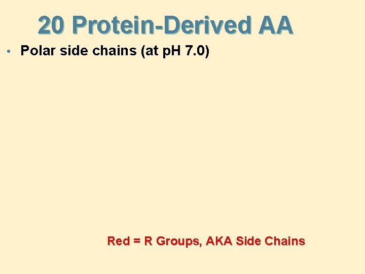 20 Protein-Derived AA • Polar side chains (at p. H 7. 0) Red =