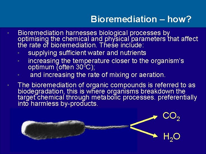Bioremediation – how? • • Bioremediation harnesses biological processes by optimising the chemical and
