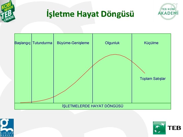 İşletme Hayat Döngüsü 