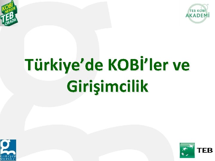 Türkiye’de KOBİ’ler ve Girişimcilik 