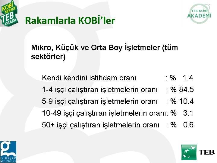 Rakamlarla KOBİ’ler Mikro, Küçük ve Orta Boy İşletmeler (tüm sektörler) Kendi kendini istihdam oranı