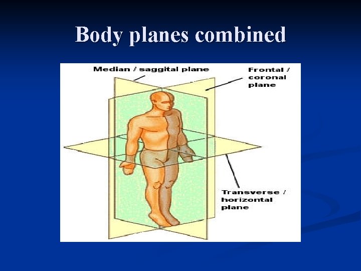 Body planes combined 