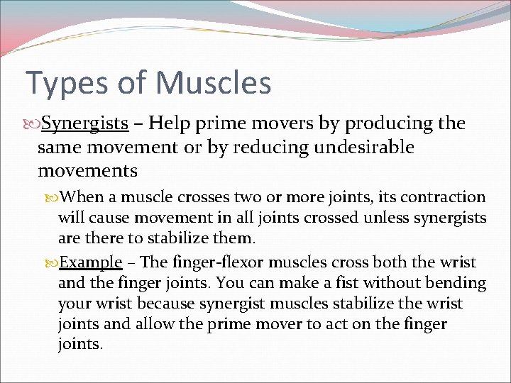 Types of Muscles Synergists – Help prime movers by producing the same movement or