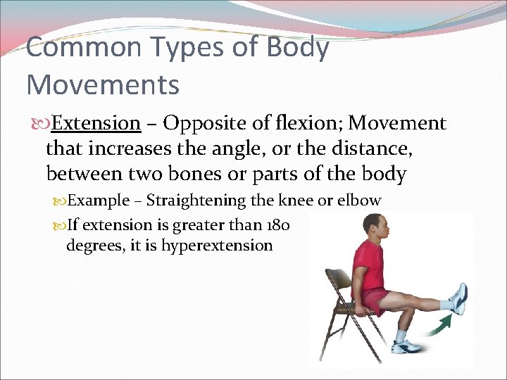 Common Types of Body Movements Extension – Opposite of flexion; Movement that increases the