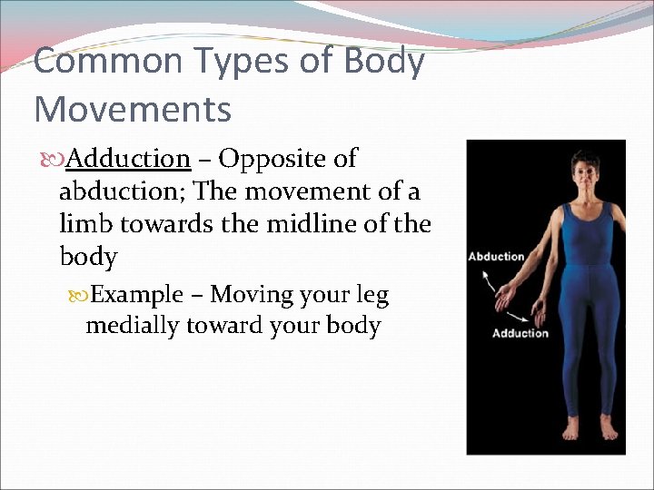 Common Types of Body Movements Adduction – Opposite of abduction; The movement of a