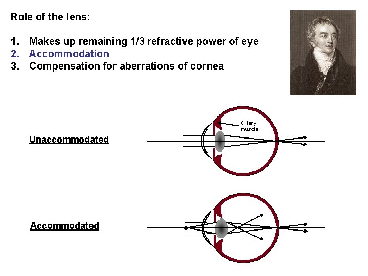 Role of the lens: 1. Makes up remaining 1/3 refractive power of eye 2.