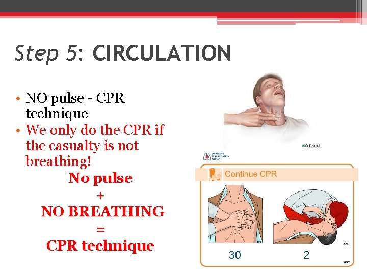 Step 5: CIRCULATION • NO pulse - CPR technique • We only do the