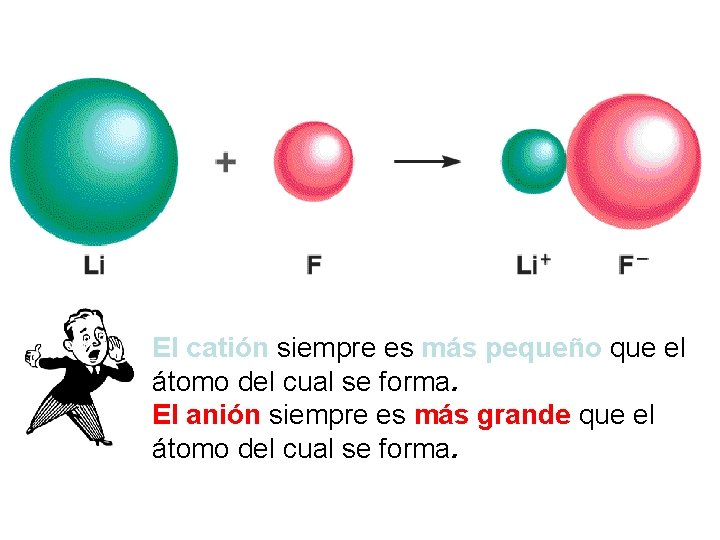El catión siempre es más pequeño que el átomo del cual se forma. El