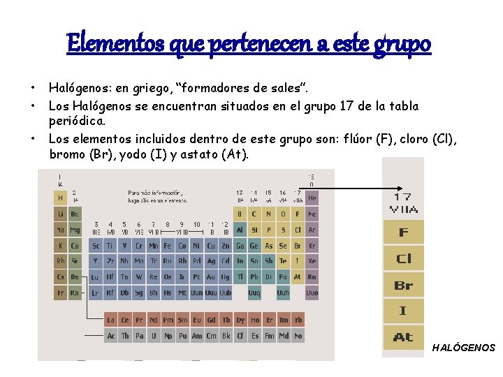 Elementos que pertenecen a este grupo • • • Halógenos: en griego, “formadores de