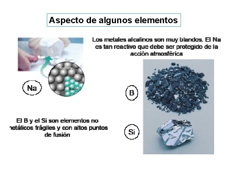 Aspecto de algunos elementos 19 