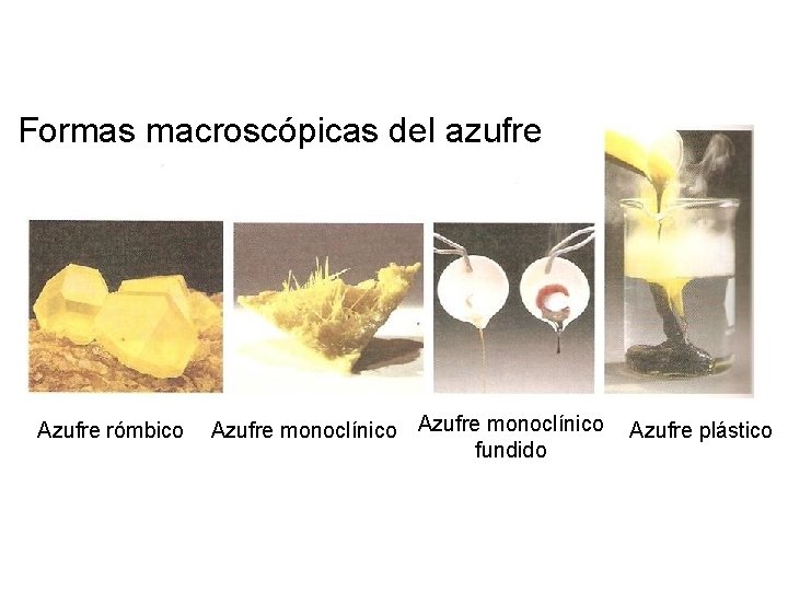 Formas macroscópicas del azufre Azufre rómbico Azufre monoclínico Azufre plástico fundido 