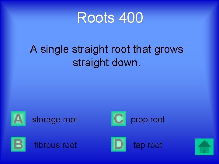 Roots 400 A single straight root that grows straight down. A storage root C