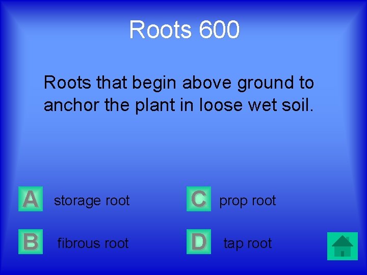 Roots 600 Roots that begin above ground to anchor the plant in loose wet