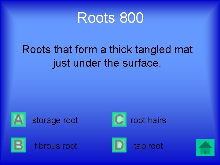 Roots 800 Roots that form a thick tangled mat just under the surface. A