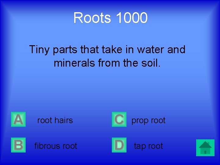 Roots 1000 Tiny parts that take in water and minerals from the soil. A