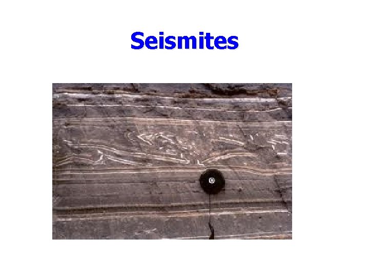 Seismites 