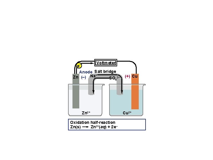 Voltmeter e– Anode Salt bridge + Zn (–) Na SO 2– 4 Zn 2+