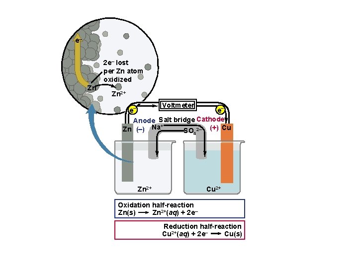 e– 2 e– lost per Zn atom oxidized Zn Zn 2+ Voltmeter e– e–