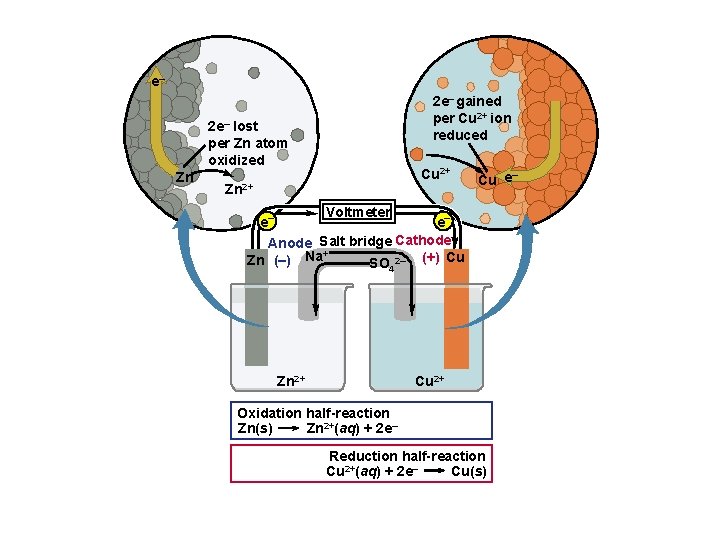 e– 2 e– gained per Cu 2+ ion reduced 2 e– lost per Zn