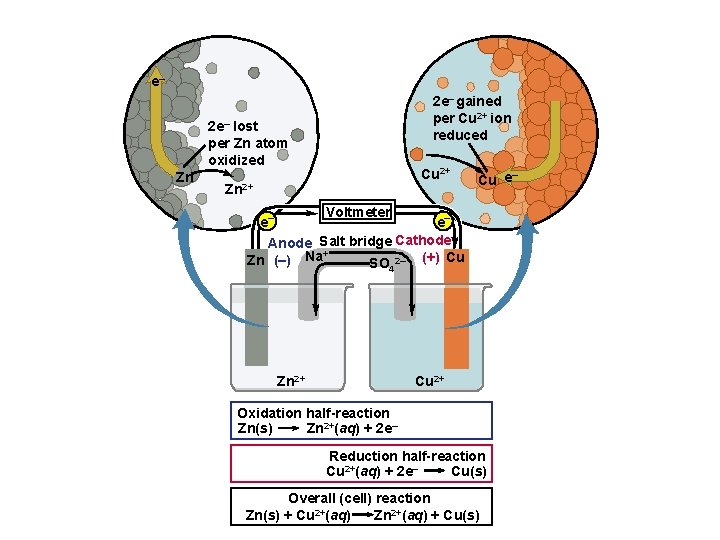 e– 2 e– gained per Cu 2+ ion reduced 2 e– lost per Zn