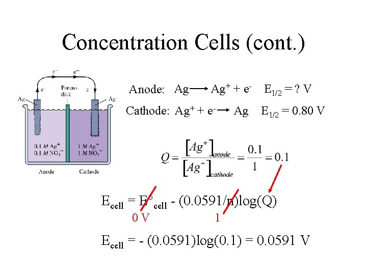 Concentration Cells (cont. ) Anode: Ag Ag+ + e- E 1/2 = ? V