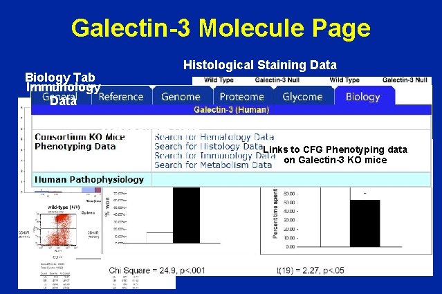 Galectin-3 Molecule Page Biology Tab Immunology Data Histological Staining Data Metabolism Data Links to