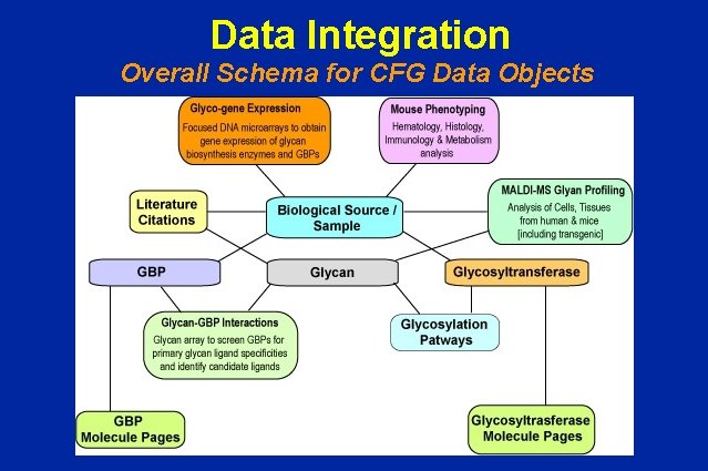 Data Integration Overall Schema for CFG Data Objects 