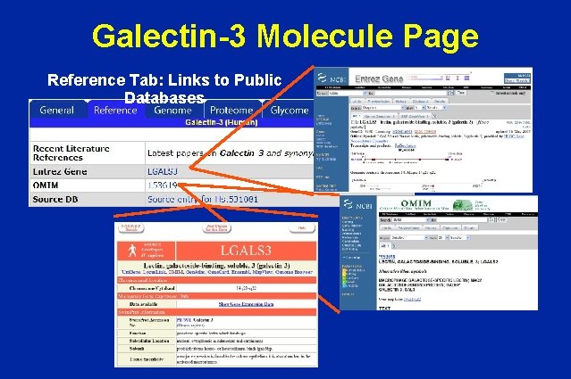 Galectin-3 Molecule Page Reference Tab: Links to Public Databases 