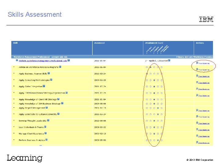 Skills Assessment © 2013 IBM Corporation 