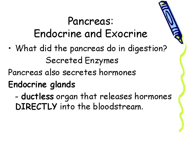 Pancreas: Endocrine and Exocrine • What did the pancreas do in digestion? Secreted Enzymes