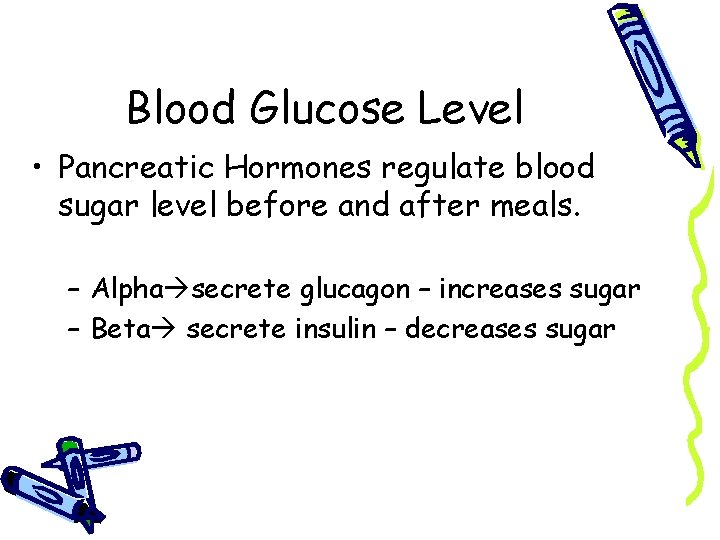 Blood Glucose Level • Pancreatic Hormones regulate blood sugar level before and after meals.