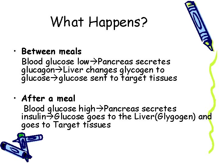 What Happens? • Between meals Blood glucose low Pancreas secretes glucagon Liver changes glycogen