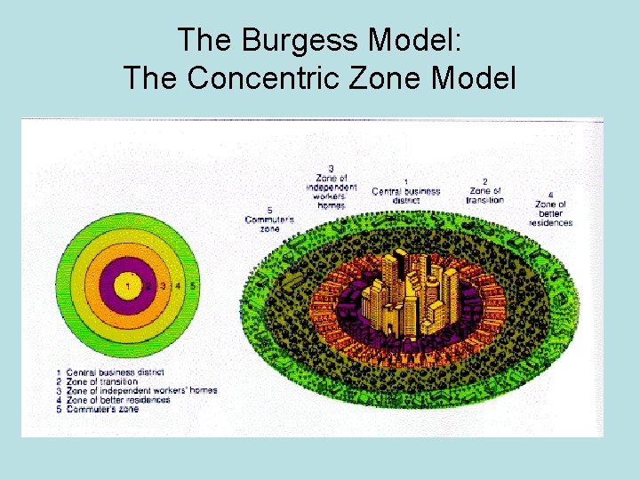 The Burgess Model: The Concentric Zone Model 