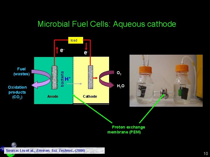 Hydrogen and electricity production using microbial fuel cellbased