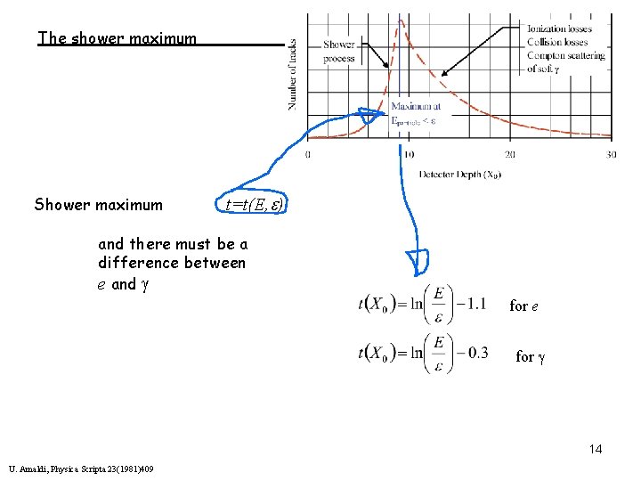 The shower maximum Shower maximum t=t(E, e) and there must be a difference between