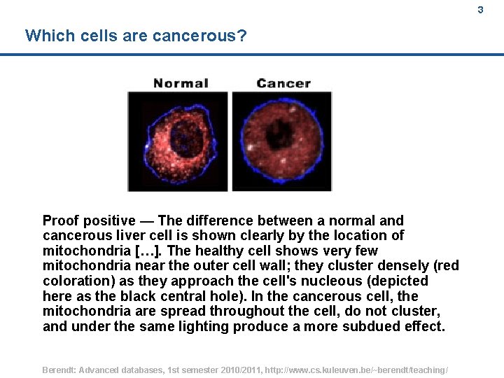 3 Which cells are cancerous? Proof positive — The difference between a normal and