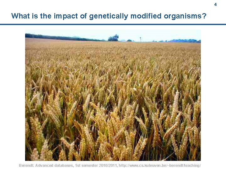 4 What is the impact of genetically modified organisms? Berendt: Advanced databases, 1 st