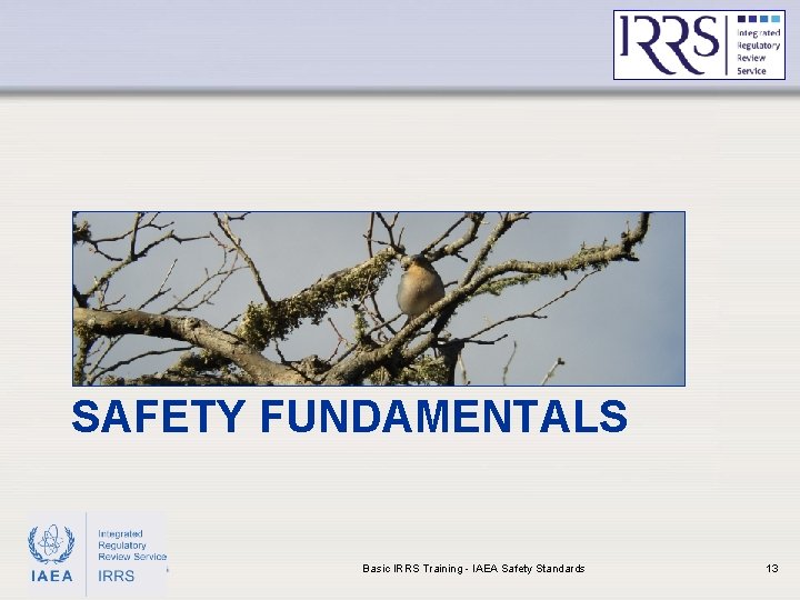 SAFETY FUNDAMENTALS IAEA Basic IRRS Training - IAEA Safety Standards 13 