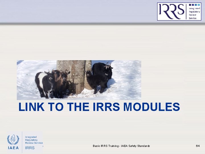 LINK TO THE IRRS MODULES IAEA Basic IRRS Training - IAEA Safety Standards 64